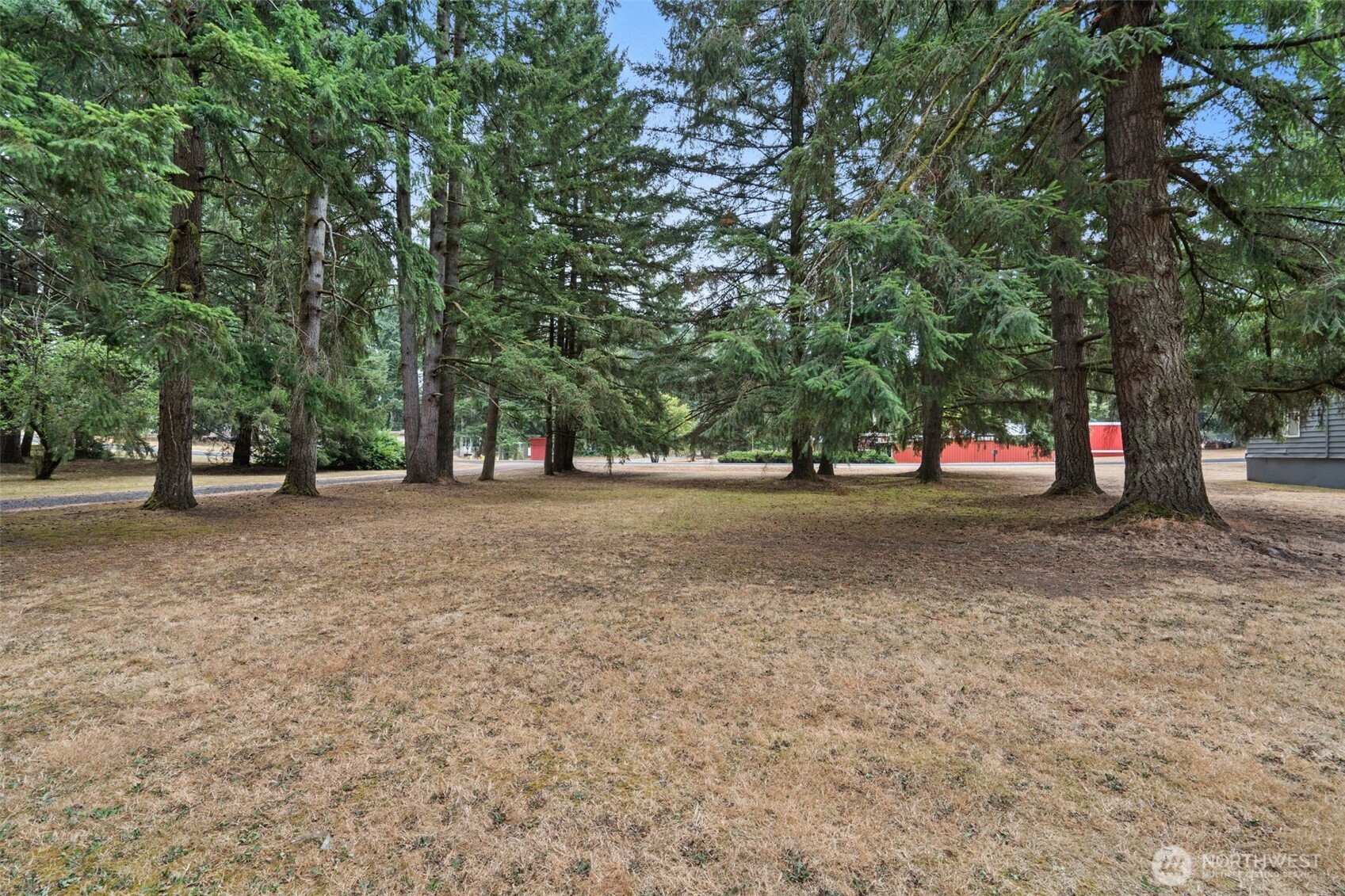 19121 Elderberry Street SW, Rochester, WA 98579