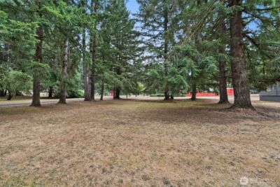 19121 Elderberry Street SW, Rochester, WA 98579 - Photo 3