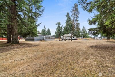 19121 Elderberry Street SW, Rochester, WA 98579 - Photo 4