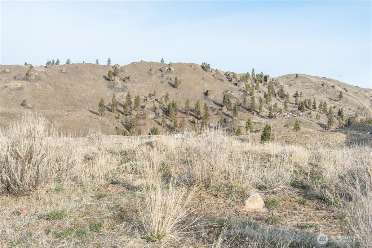 0 Parcel B - 13 Honeygold Drive , Orondo, WA 98843