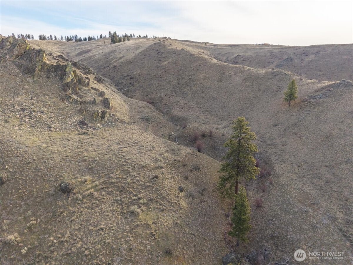 0 Parcel A - 13 Honeygold Drive , Orondo, WA 98843