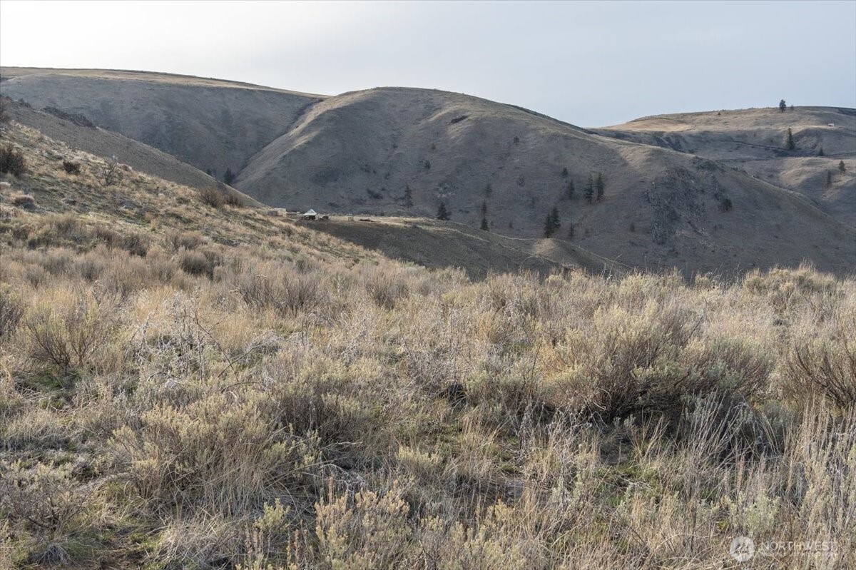 0 Parcel A - 13 Honeygold Drive , Orondo, WA 98843