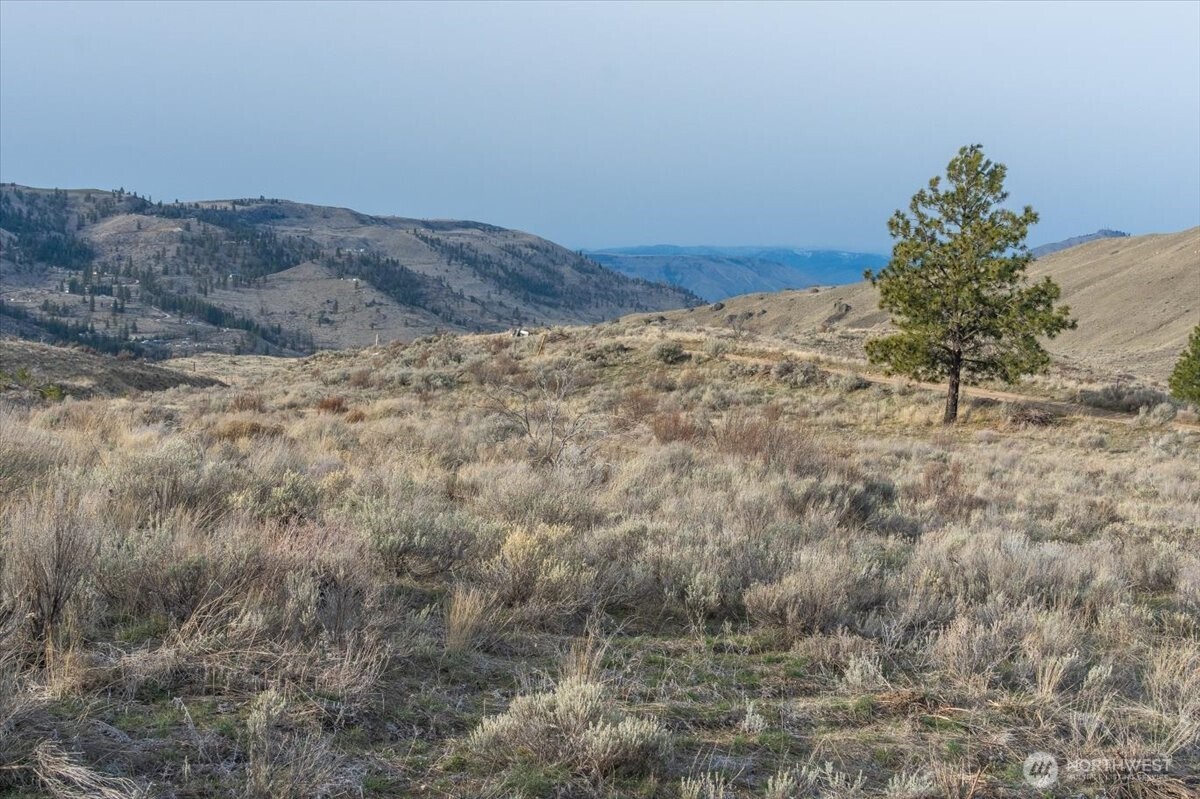 0 Parcel D - 13 Honeygold Drive , Orondo, WA 98843