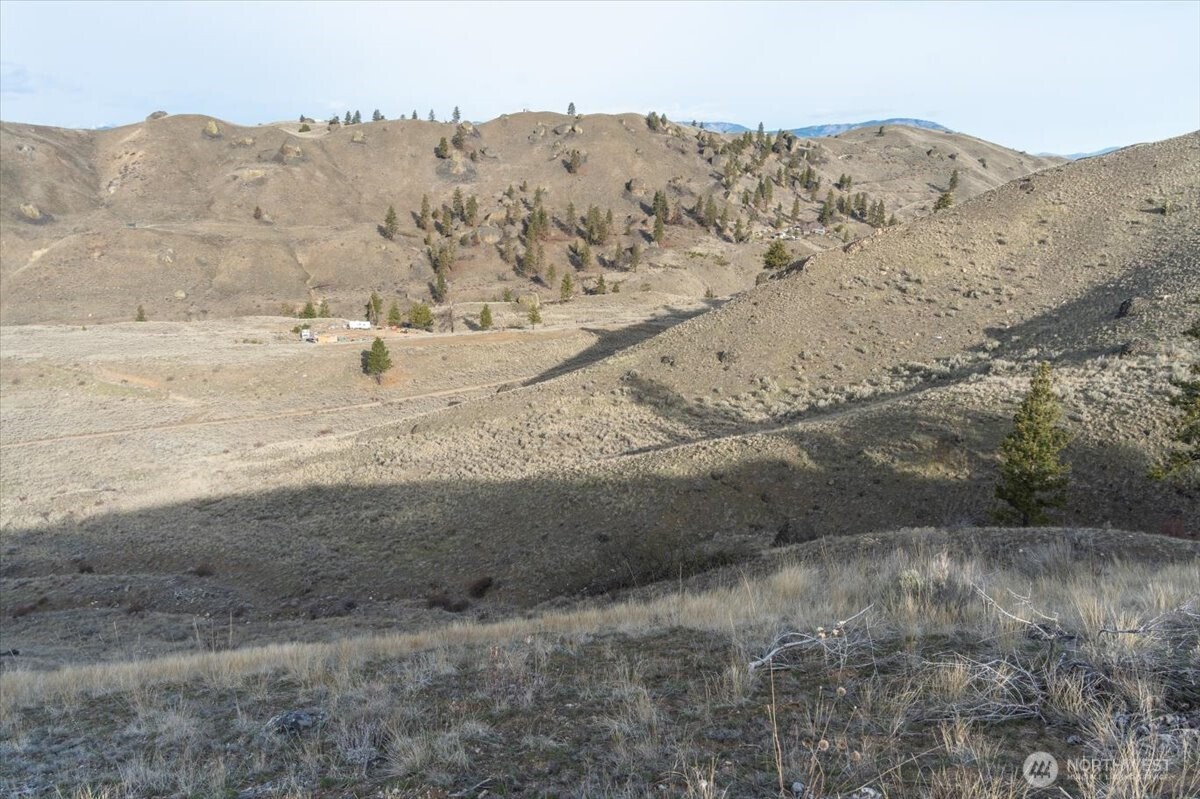 0 Parcel D - 13 Honeygold Drive , Orondo, WA 98843