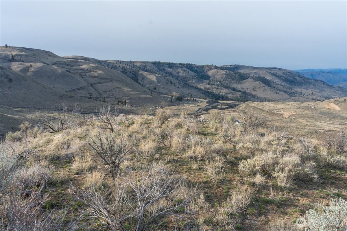 0 Parcel D - 13 Honeygold Drive , Orondo, WA 98843