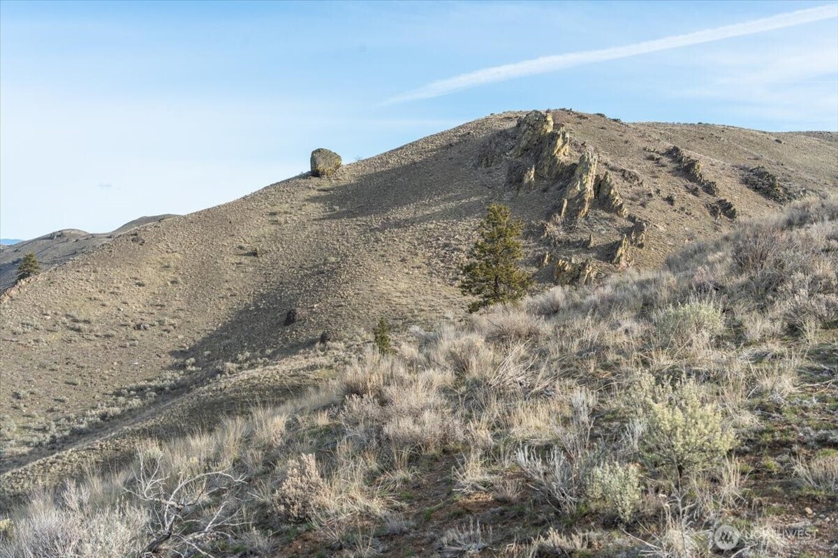 0 Parcel C - 13 Honeygold Drive , Orondo, WA 98843