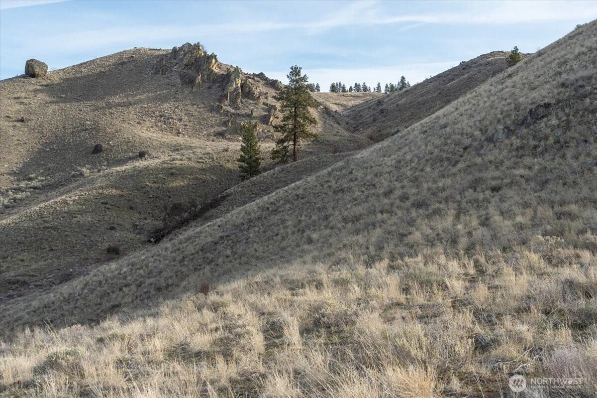 0 Parcel C - 13 Honeygold Drive , Orondo, WA 98843