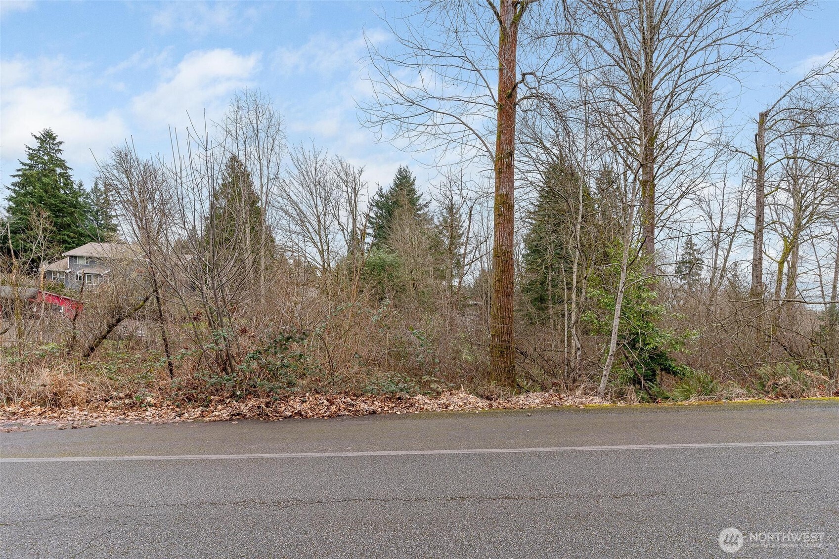 0 17XXX 172nd Avenue E, Renton, WA 98059