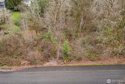 0 17XXX 172nd Avenue E, Renton, WA 98059 - Photo 4