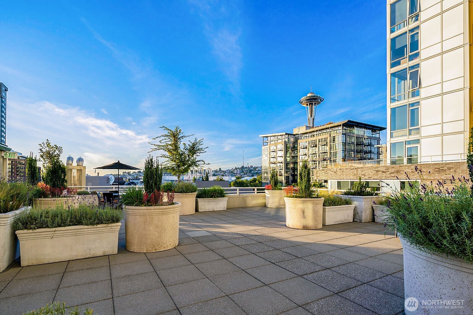 2600 2nd Avenue #2501, Seattle, WA 98121