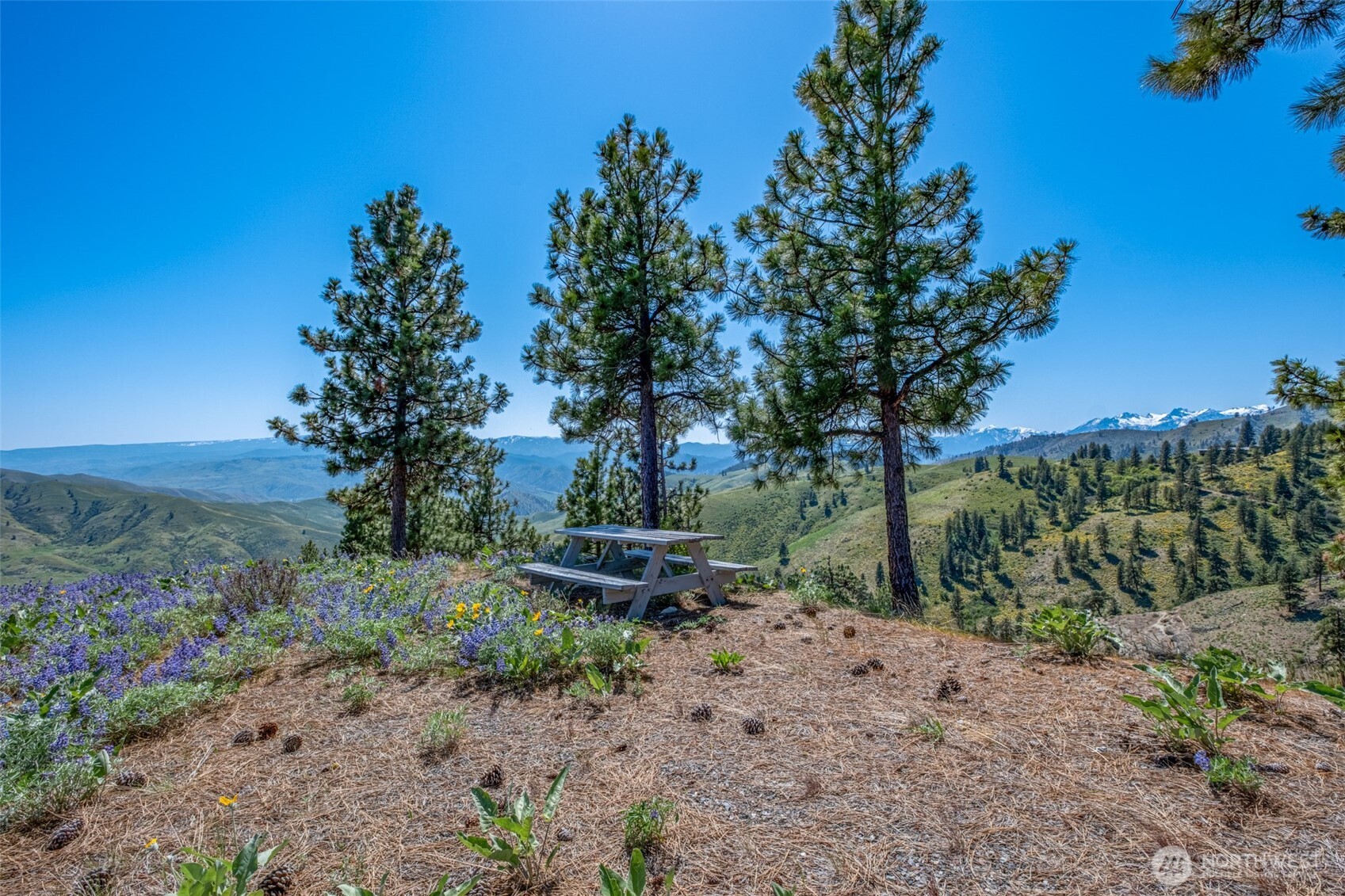 1021 Chicken Farm Lane , Cashmere, WA 98815