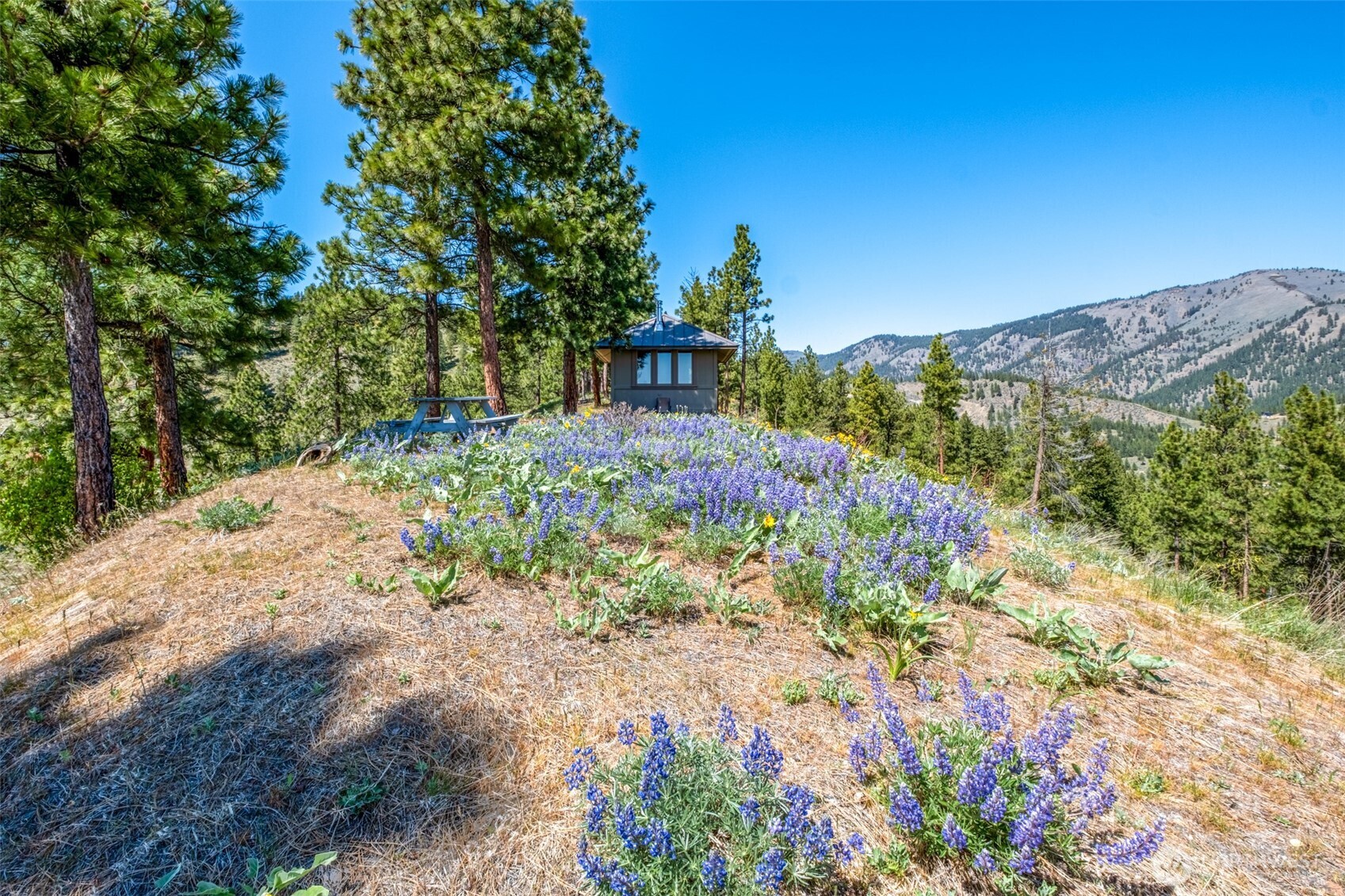 1021 Chicken Farm Lane , Cashmere, WA 98815