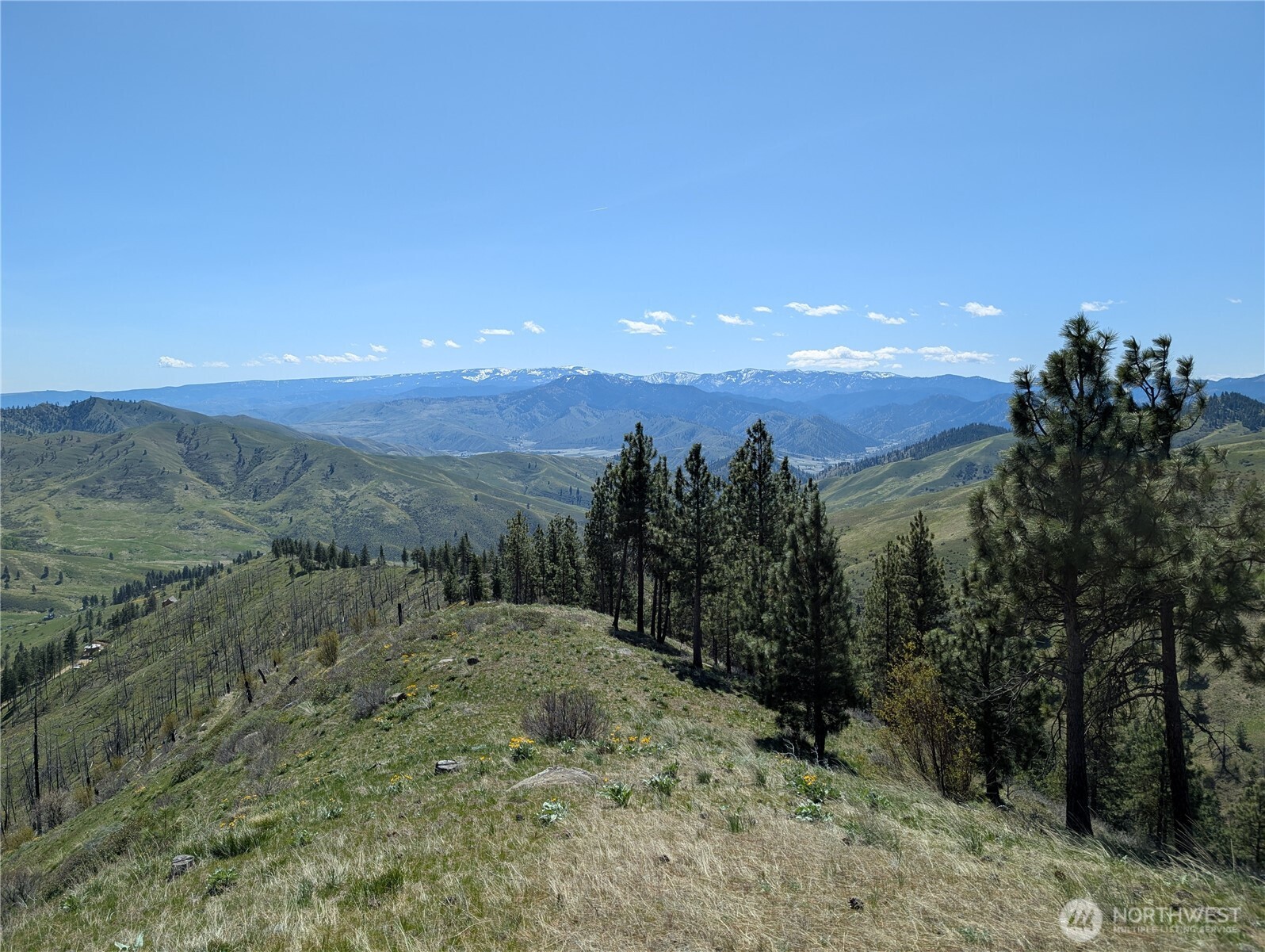 1021 Chicken Farm Lane , Cashmere, WA 98815