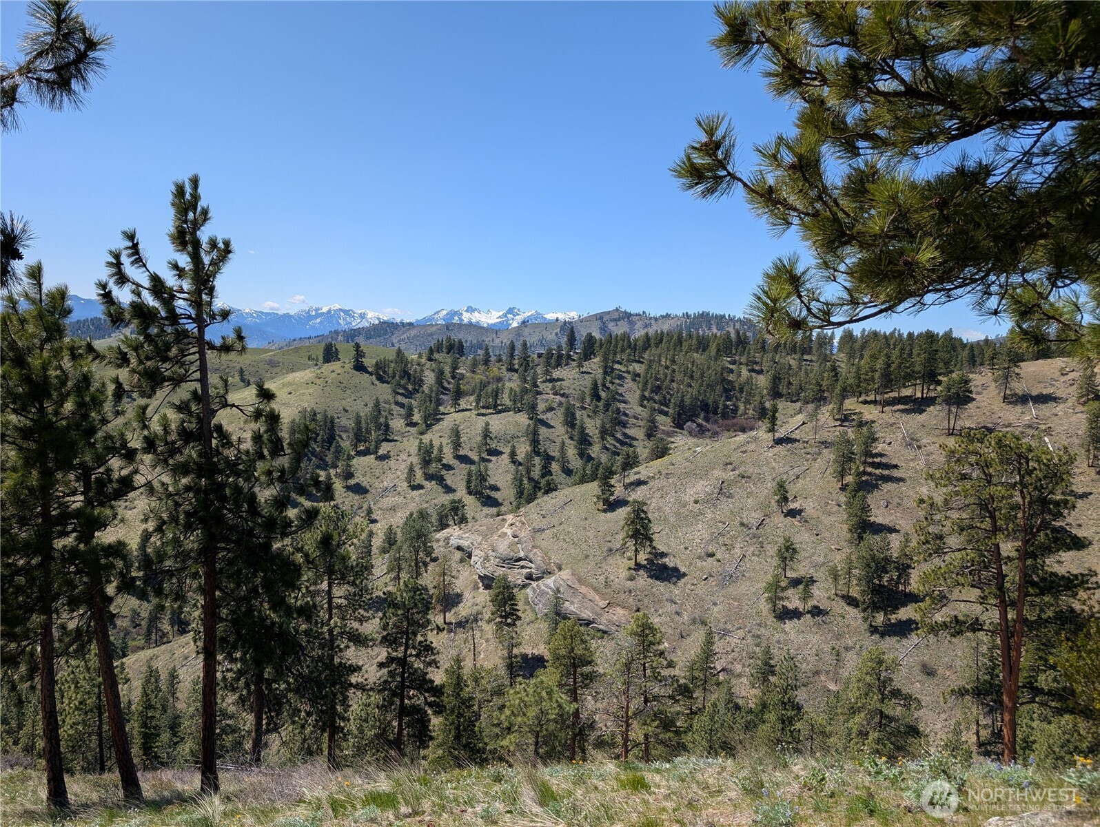 1021 Chicken Farm Lane , Cashmere, WA 98815
