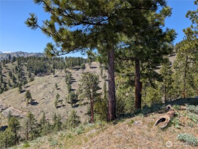 1021 Chicken Farm Lane , Cashmere, WA 98815 - Photo 30