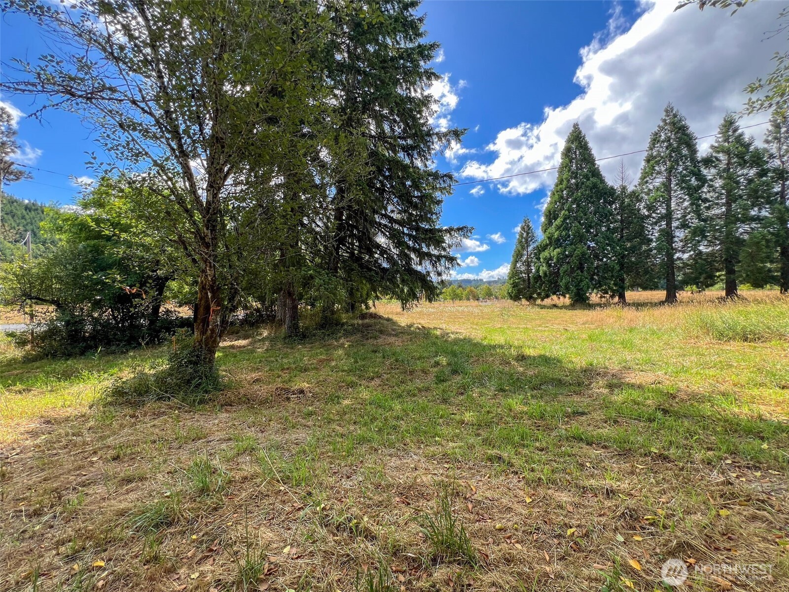 115 Coyote Crest , Oakville, WA 98568