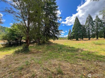 115 Coyote Crest , Oakville, WA 98568 - Photo 11