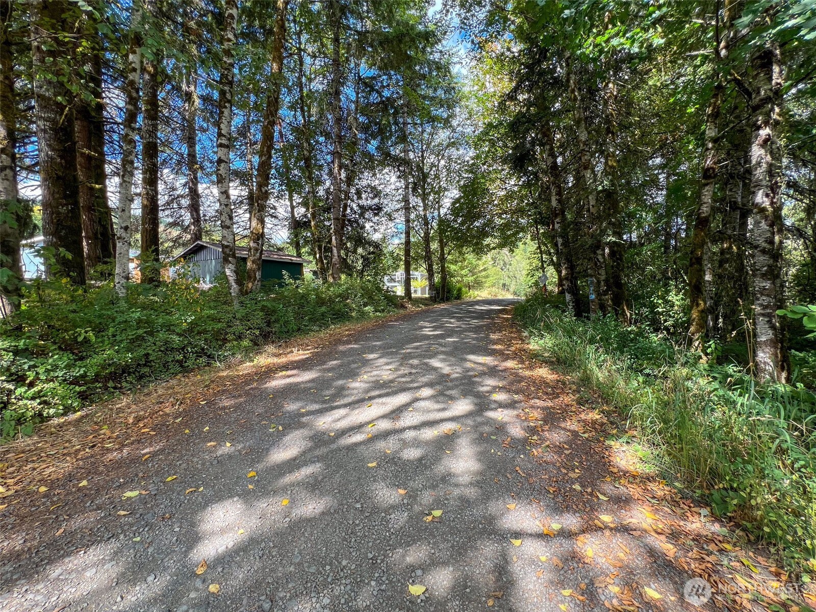 115 Coyote Crest , Oakville, WA 98568