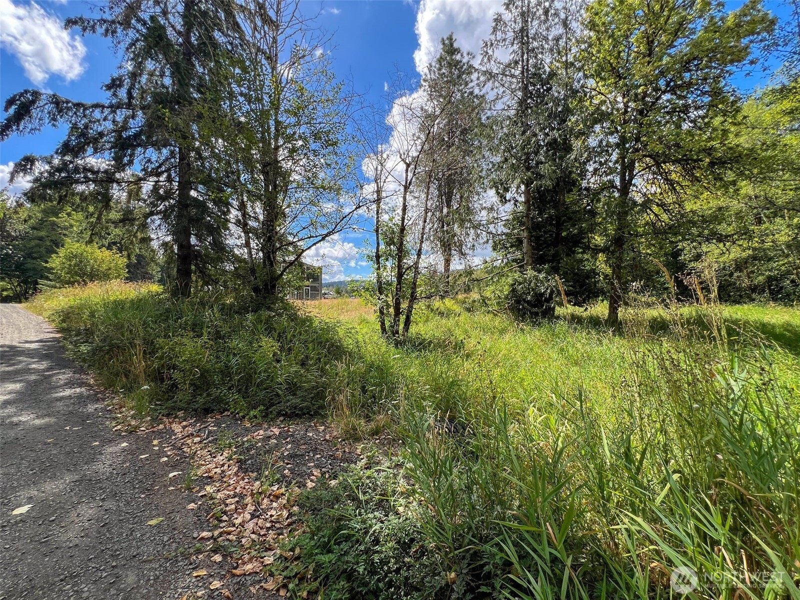 115 Coyote Crest , Oakville, WA 98568