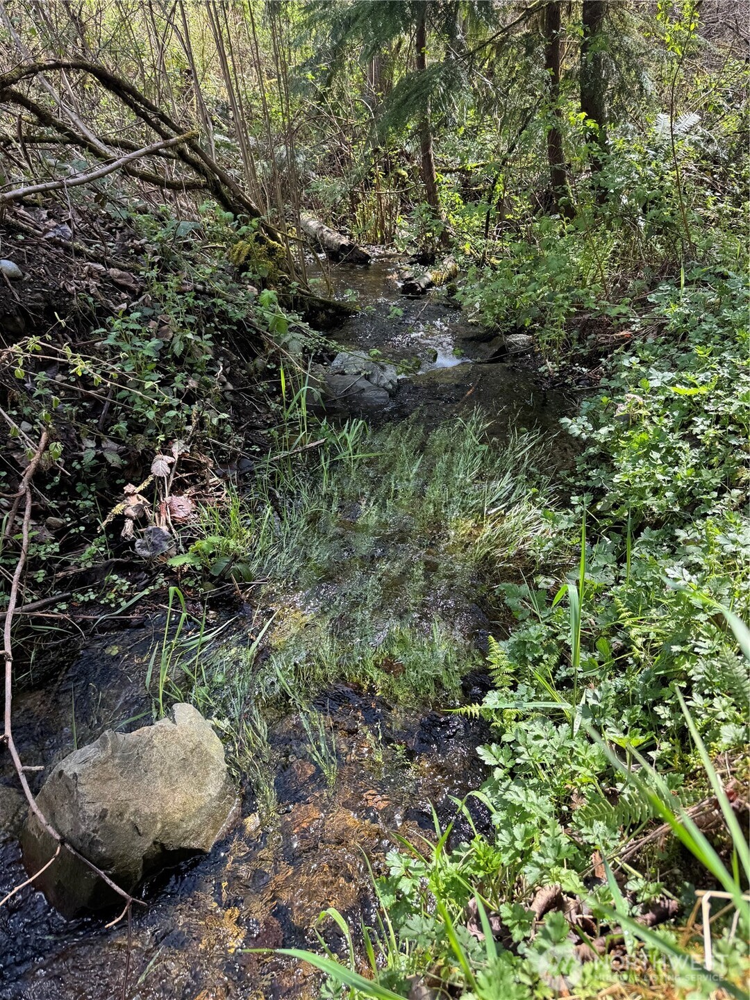 13930 73rd Street NE, Lake Stevens, WA 98258