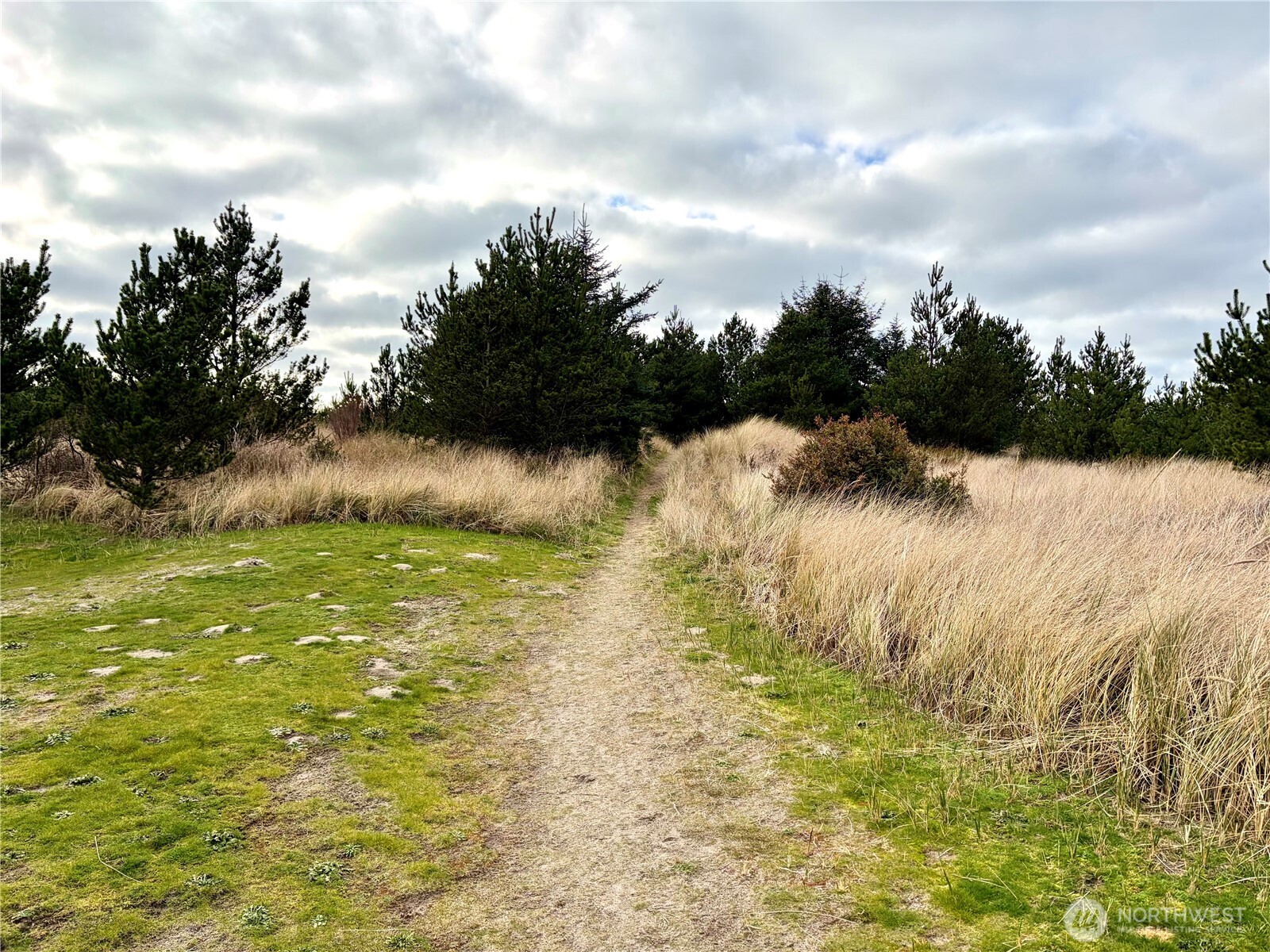 1215 199th Place , Long Beach, WA 98631