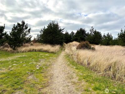 1215 199th Place , Long Beach, WA 98631 - Photo 30