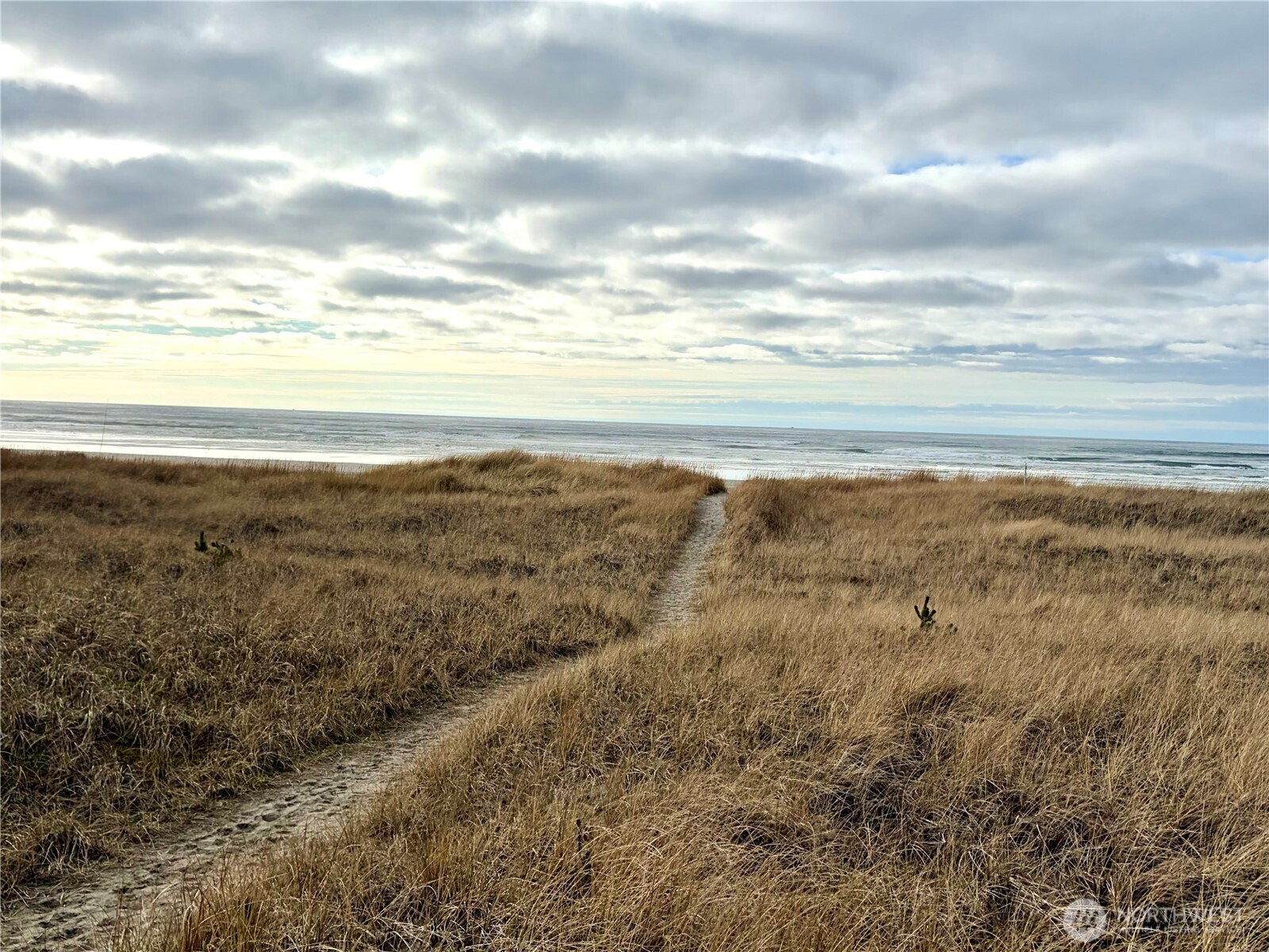 1215 199th Place , Long Beach, WA 98631