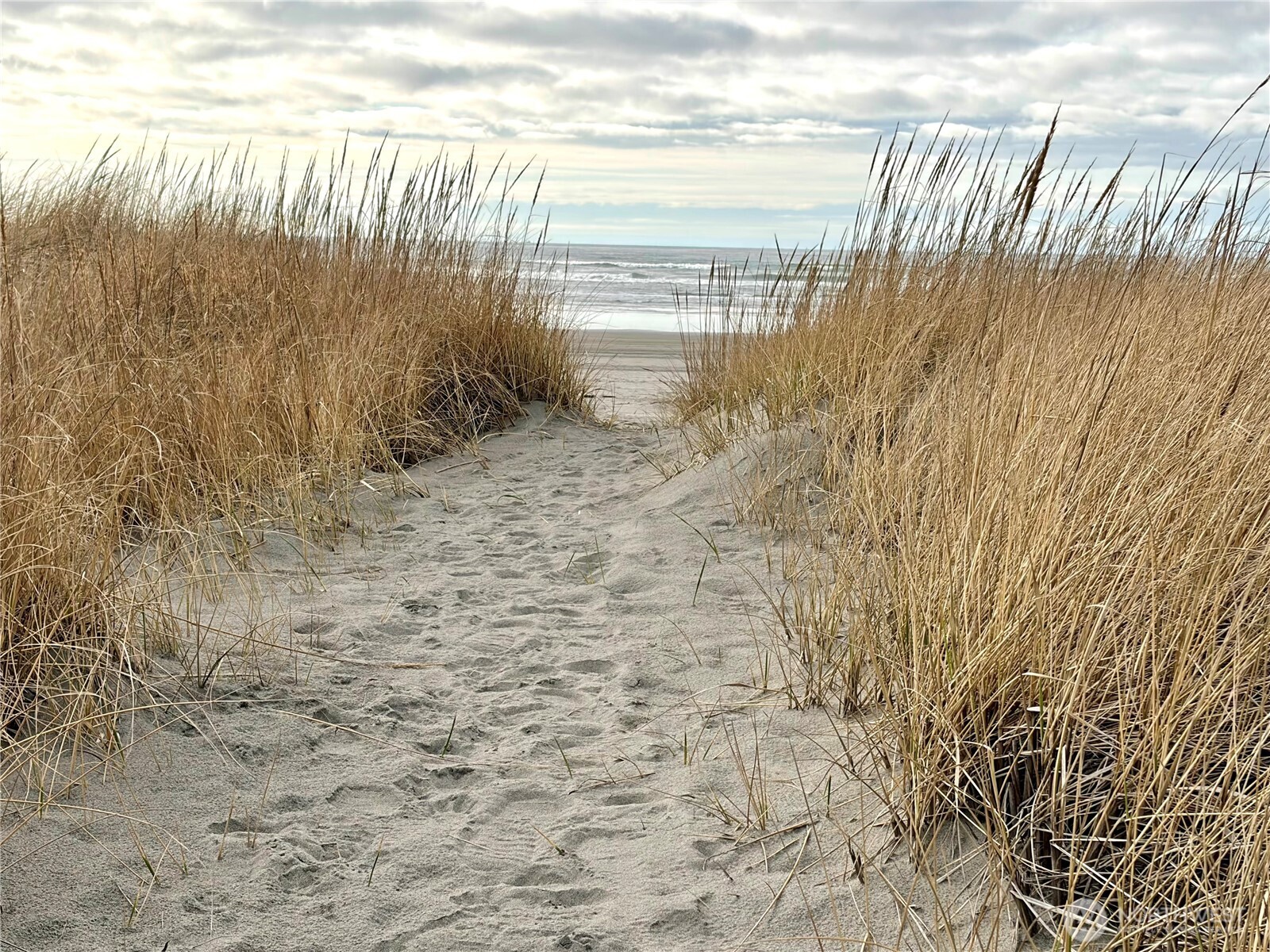 1215 199th Place , Long Beach, WA 98631