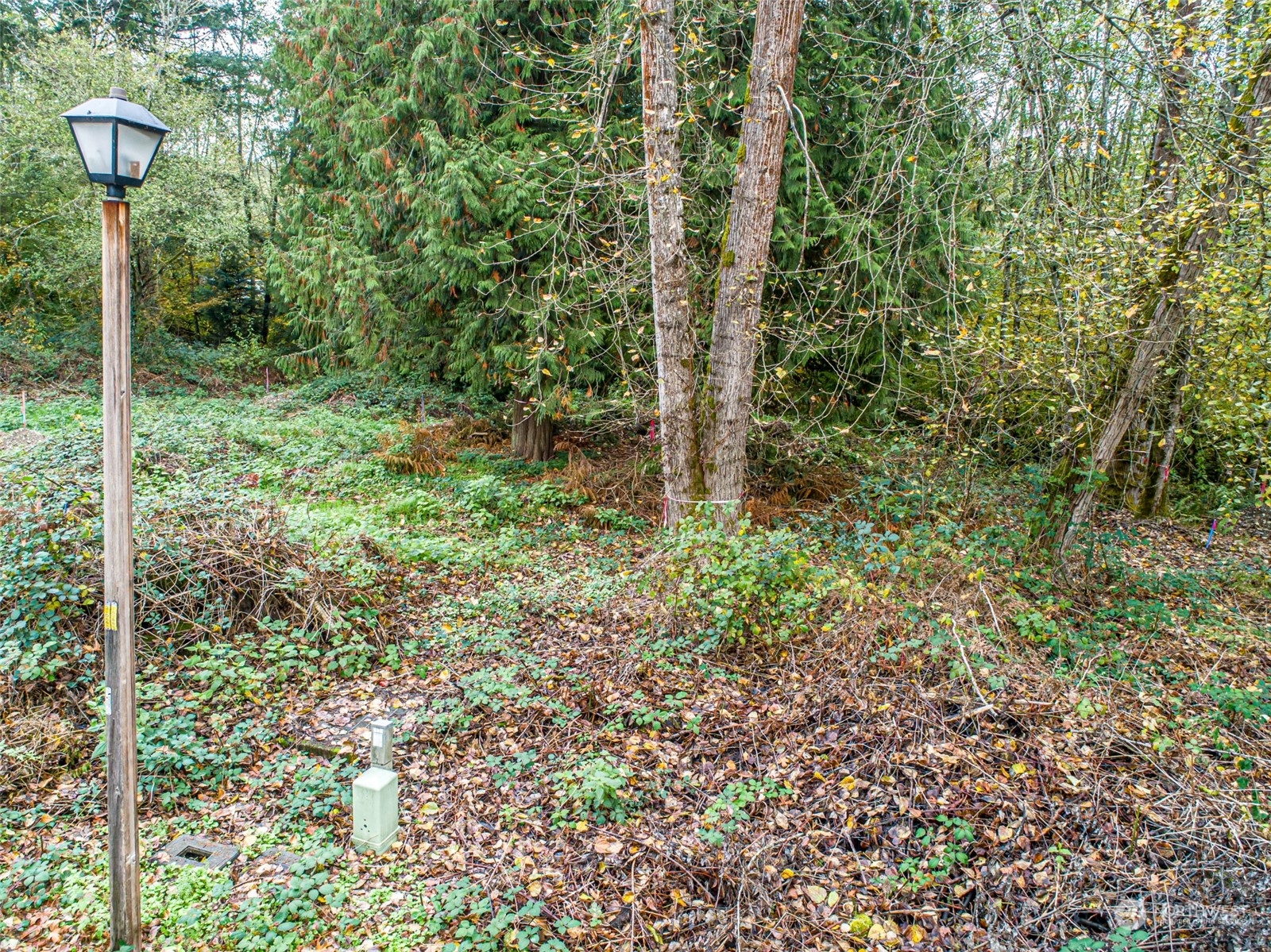 0 S 357th Street , Federal Way, WA 98003