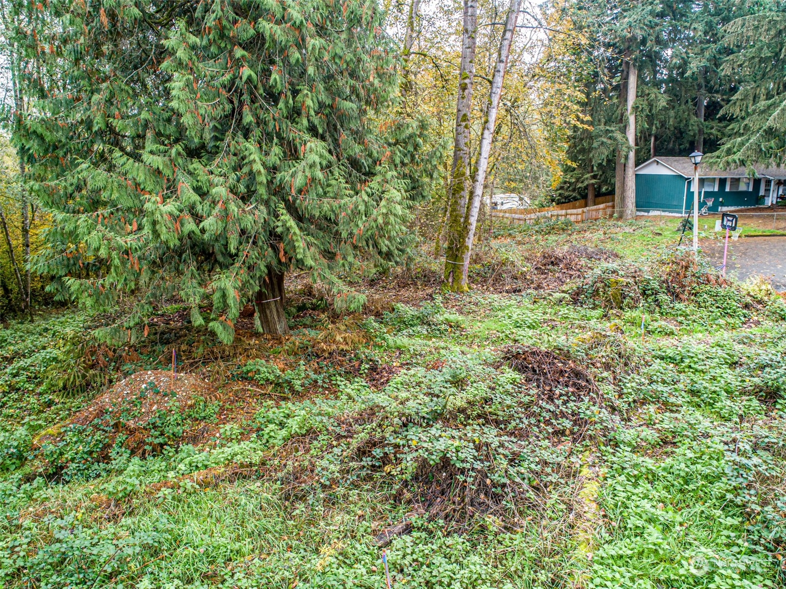 0 S 357th Street , Federal Way, WA 98003