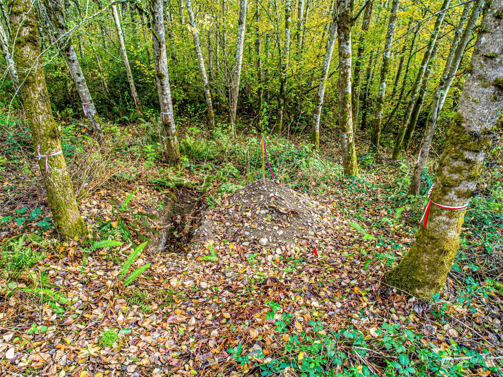 0 S 357th Street , Federal Way, WA 98003