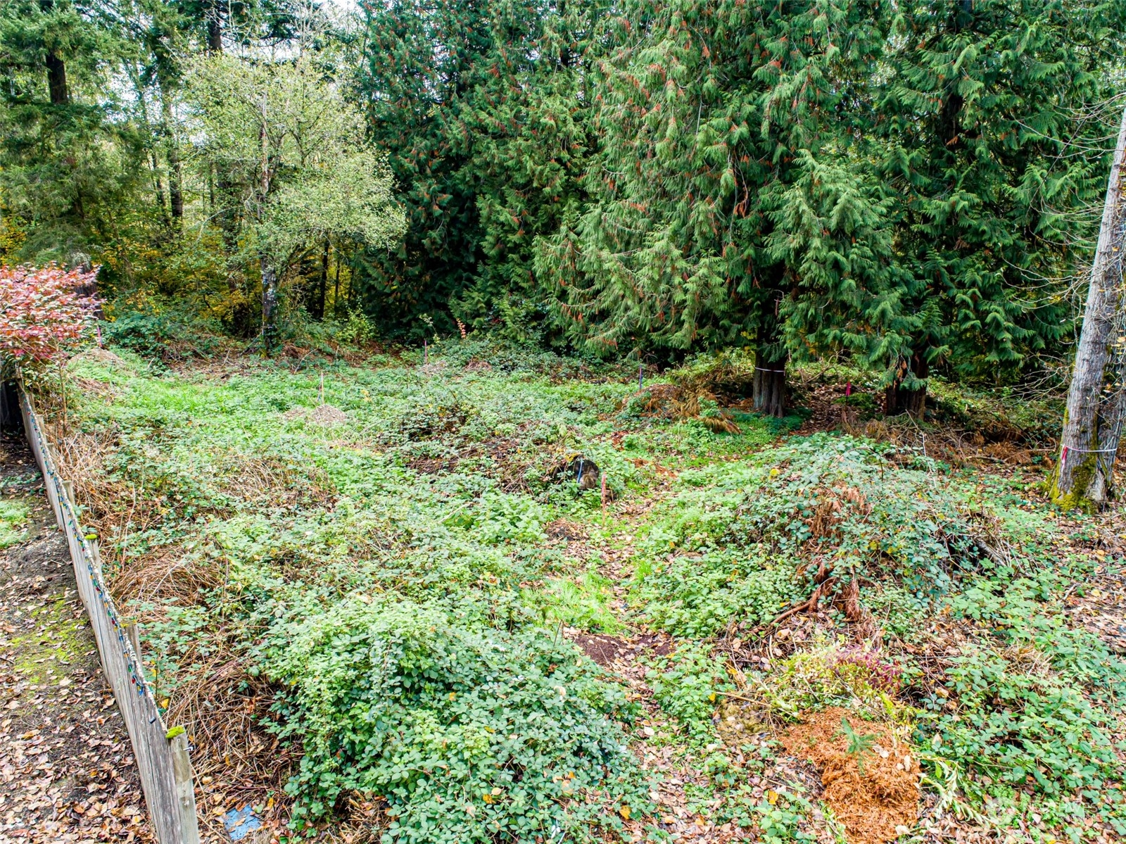 0 S 357th Street , Federal Way, WA 98003