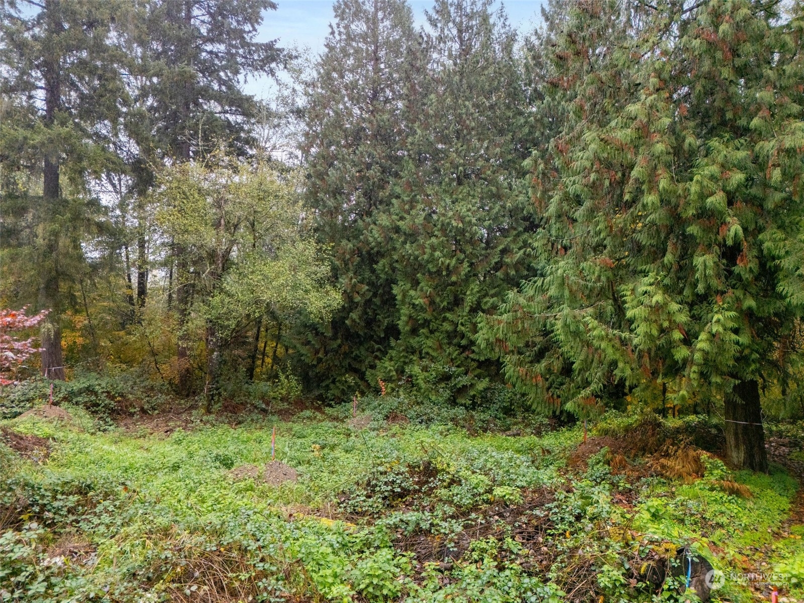 0 S 357th Street , Federal Way, WA 98003