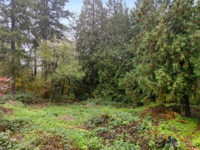 0 S 357th Street , Federal Way, WA 98003 - Photo 21