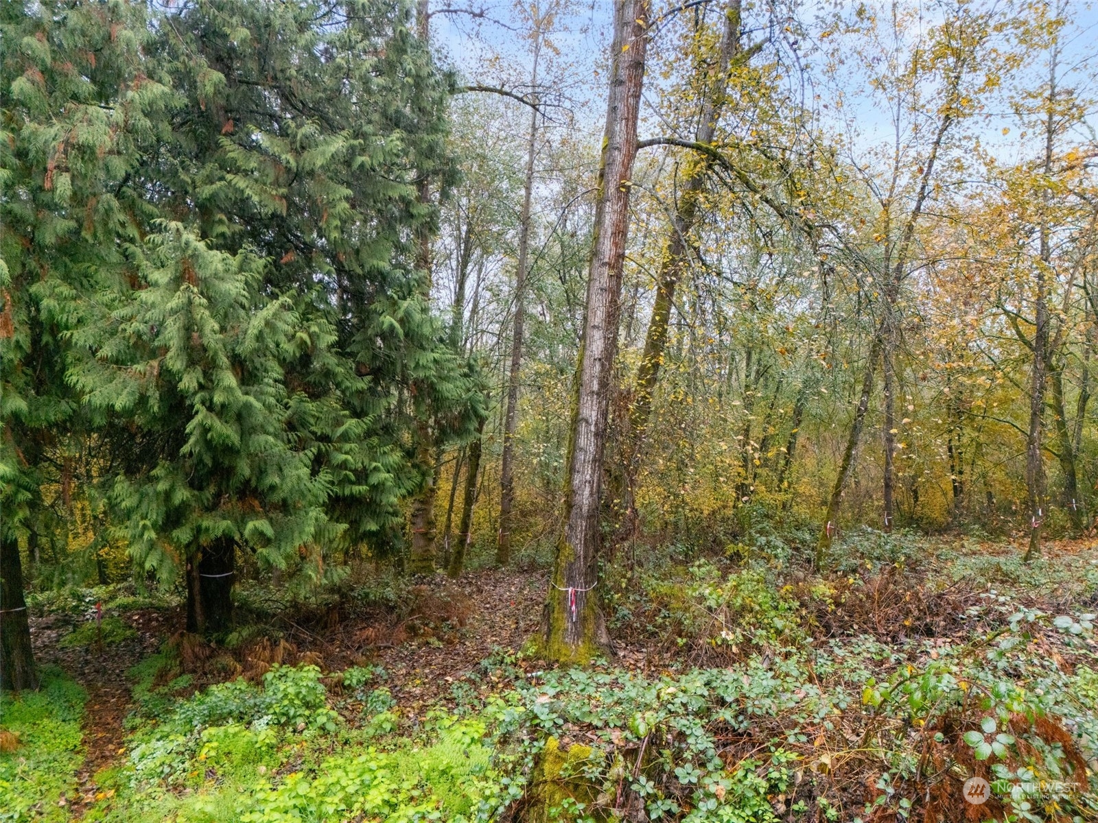 0 S 357th Street , Federal Way, WA 98003
