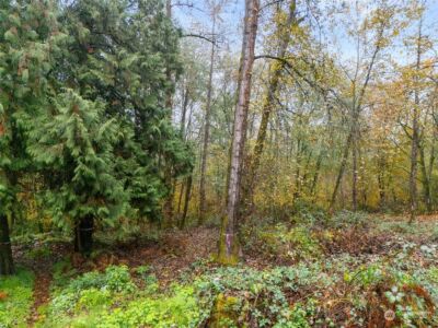 0 S 357th Street , Federal Way, WA 98003 - Photo 22