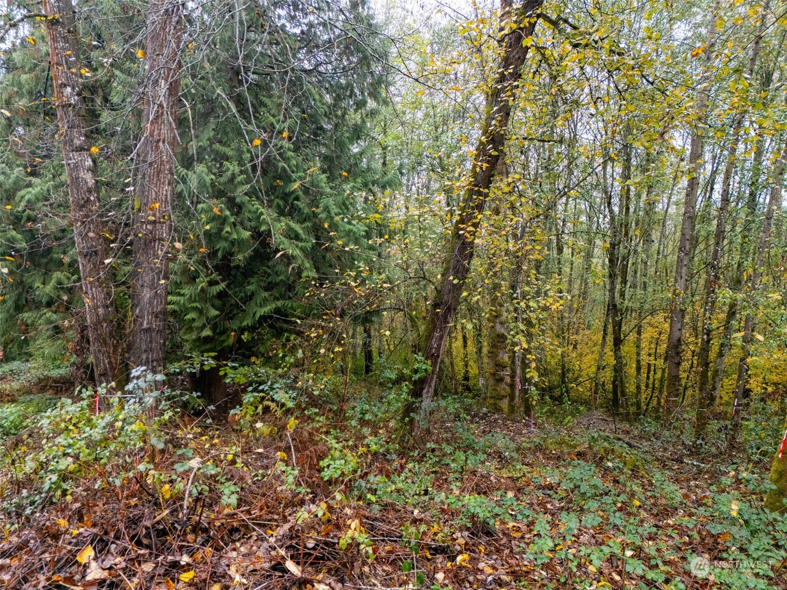 0 S 357th Street , Federal Way, WA 98003
