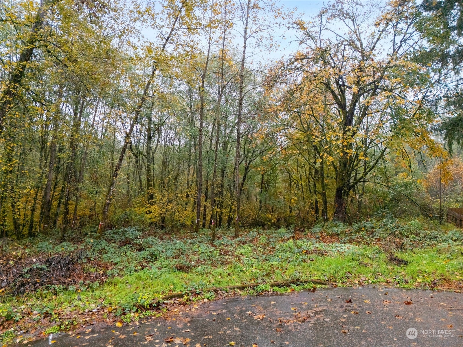 0 S 357th Street , Federal Way, WA 98003