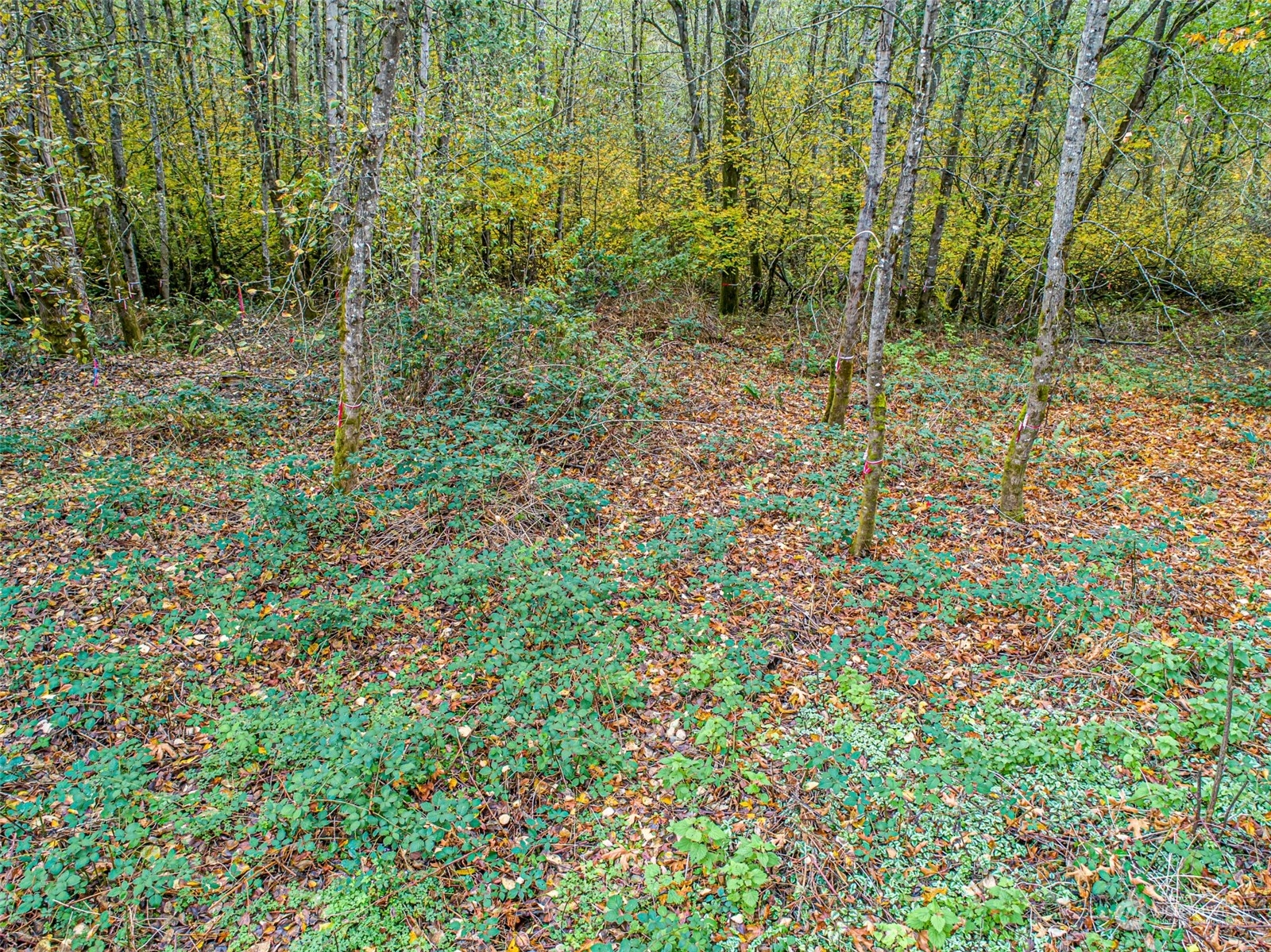 0 S 357th Street , Federal Way, WA 98003
