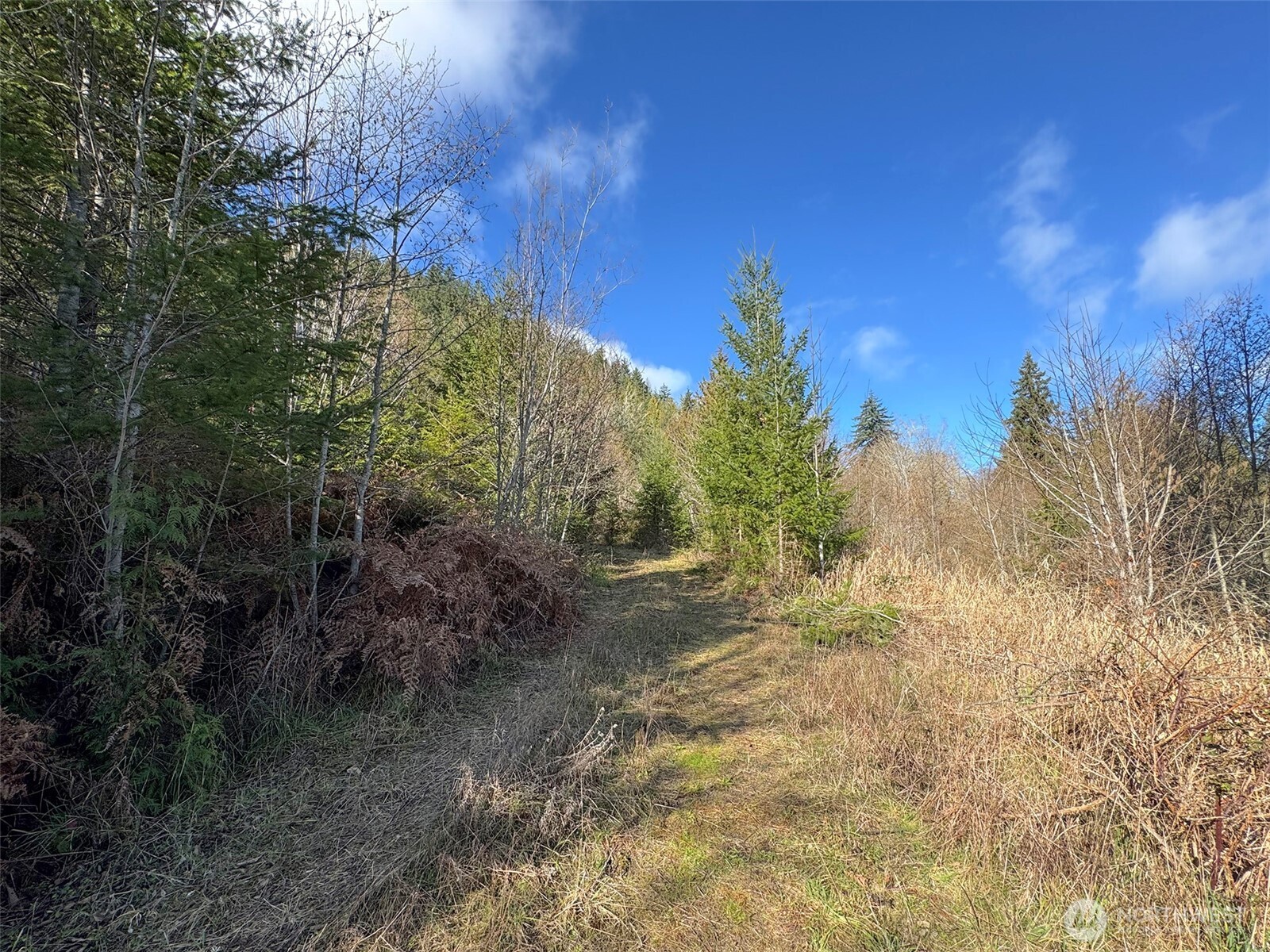 9999 Sponberg Lane , Port Angeles, WA 98363