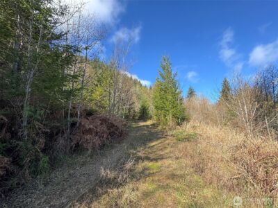 9999 Sponberg Lane , Port Angeles, WA 98363 - Photo 11