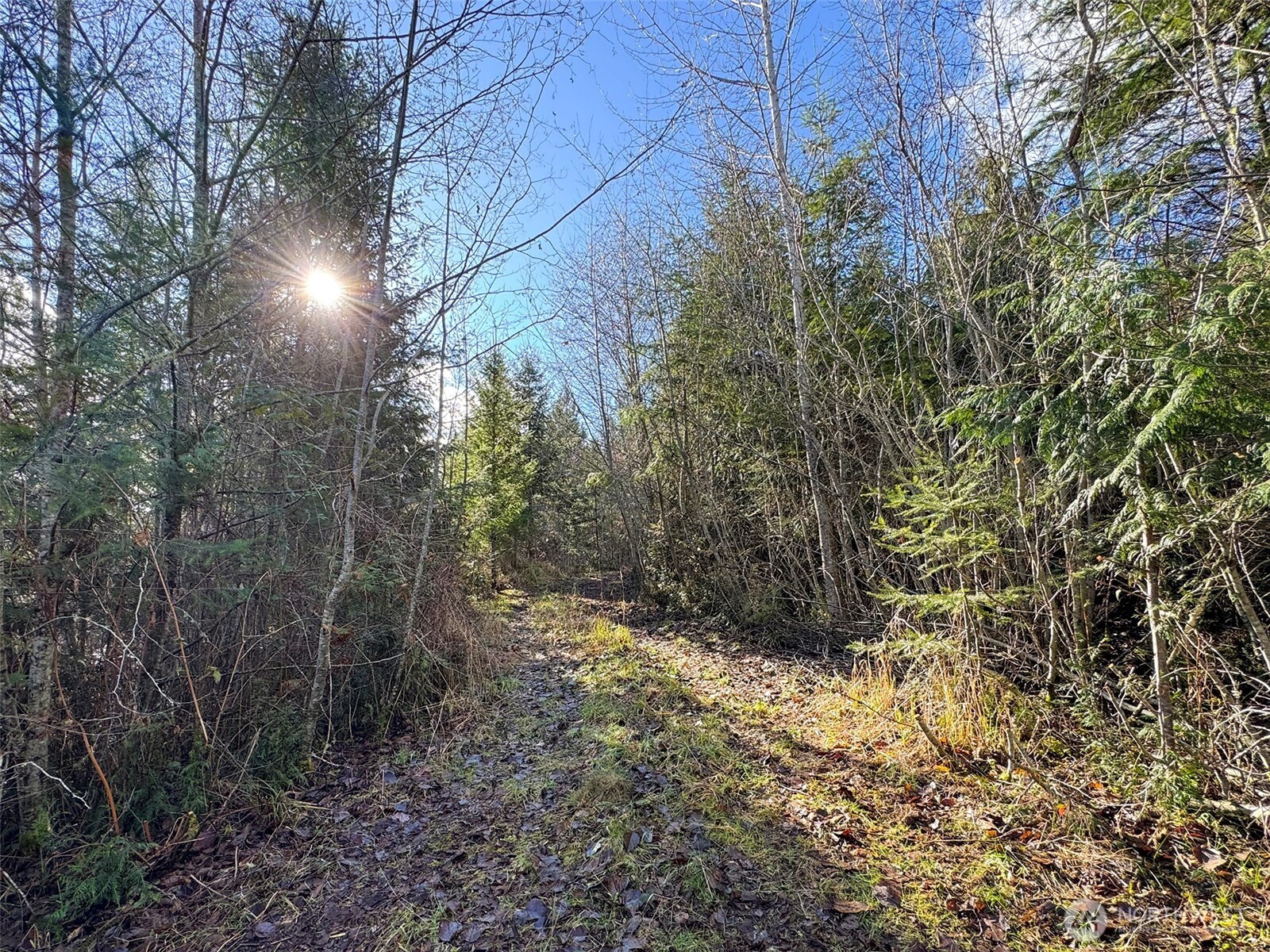 9999 Sponberg Lane , Port Angeles, WA 98363
