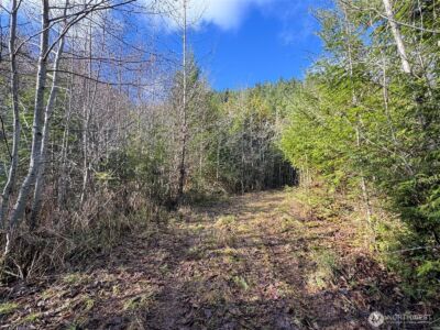 9999 Sponberg Lane , Port Angeles, WA 98363 - Photo 13