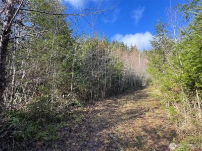 9999 Sponberg Lane , Port Angeles, WA 98363 - Photo 14