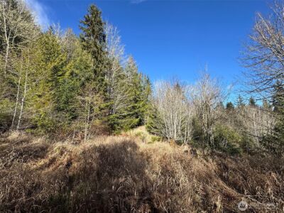 9999 Sponberg Lane , Port Angeles, WA 98363 - Photo 16