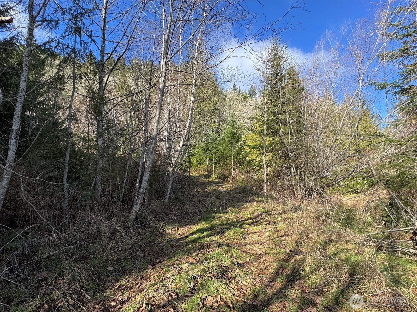 9999 Sponberg Lane , Port Angeles, WA 98363