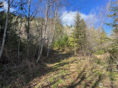9999 Sponberg Lane , Port Angeles, WA 98363 - Photo 17