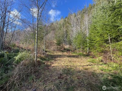9999 Sponberg Lane , Port Angeles, WA 98363 - Photo 18