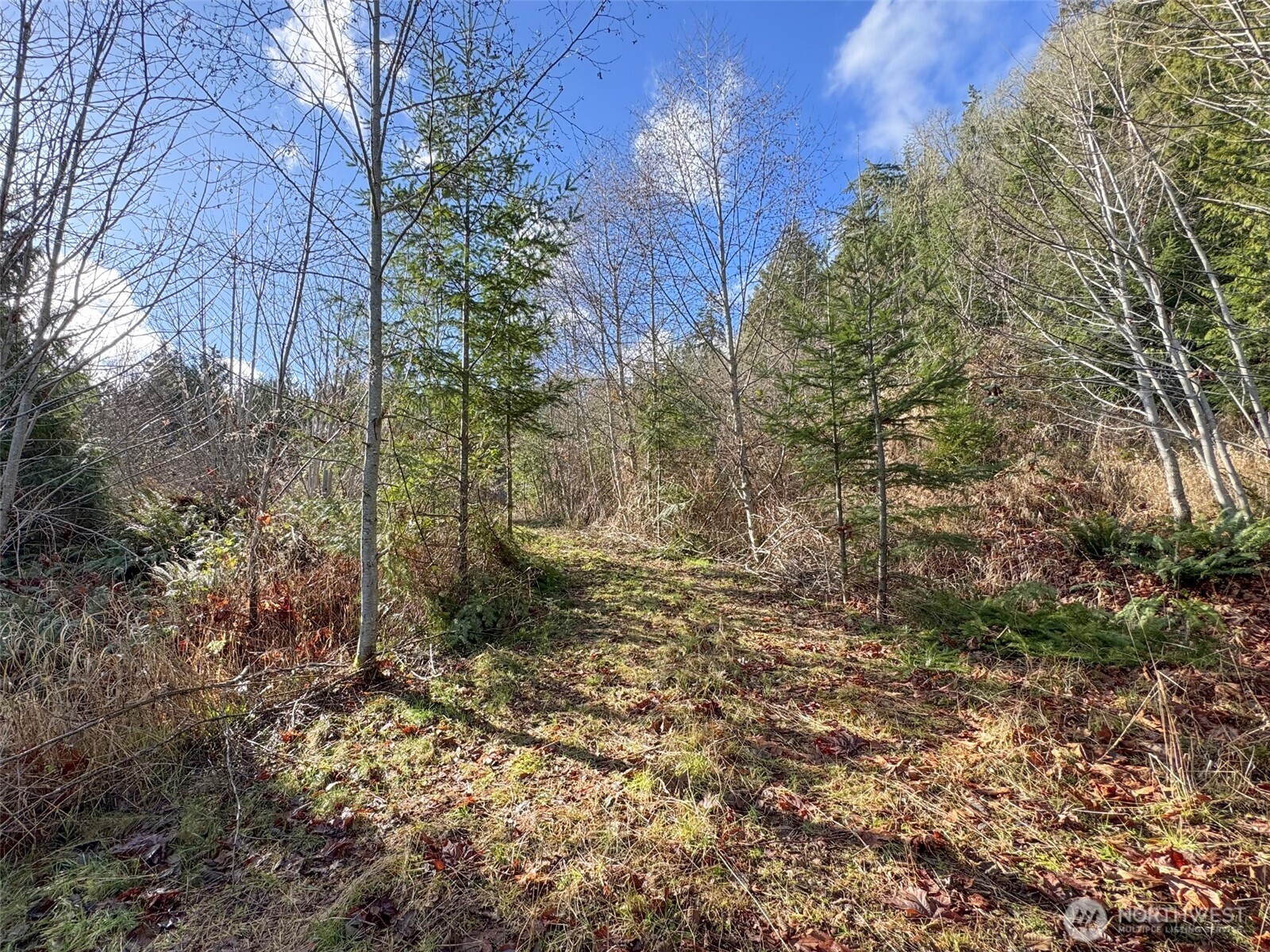 9999 Sponberg Lane , Port Angeles, WA 98363