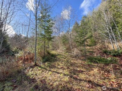9999 Sponberg Lane , Port Angeles, WA 98363 - Photo 19